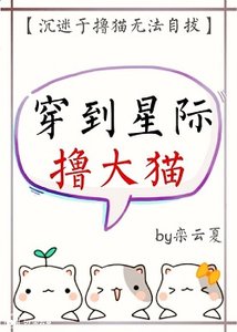 穿到星際擼大貓
